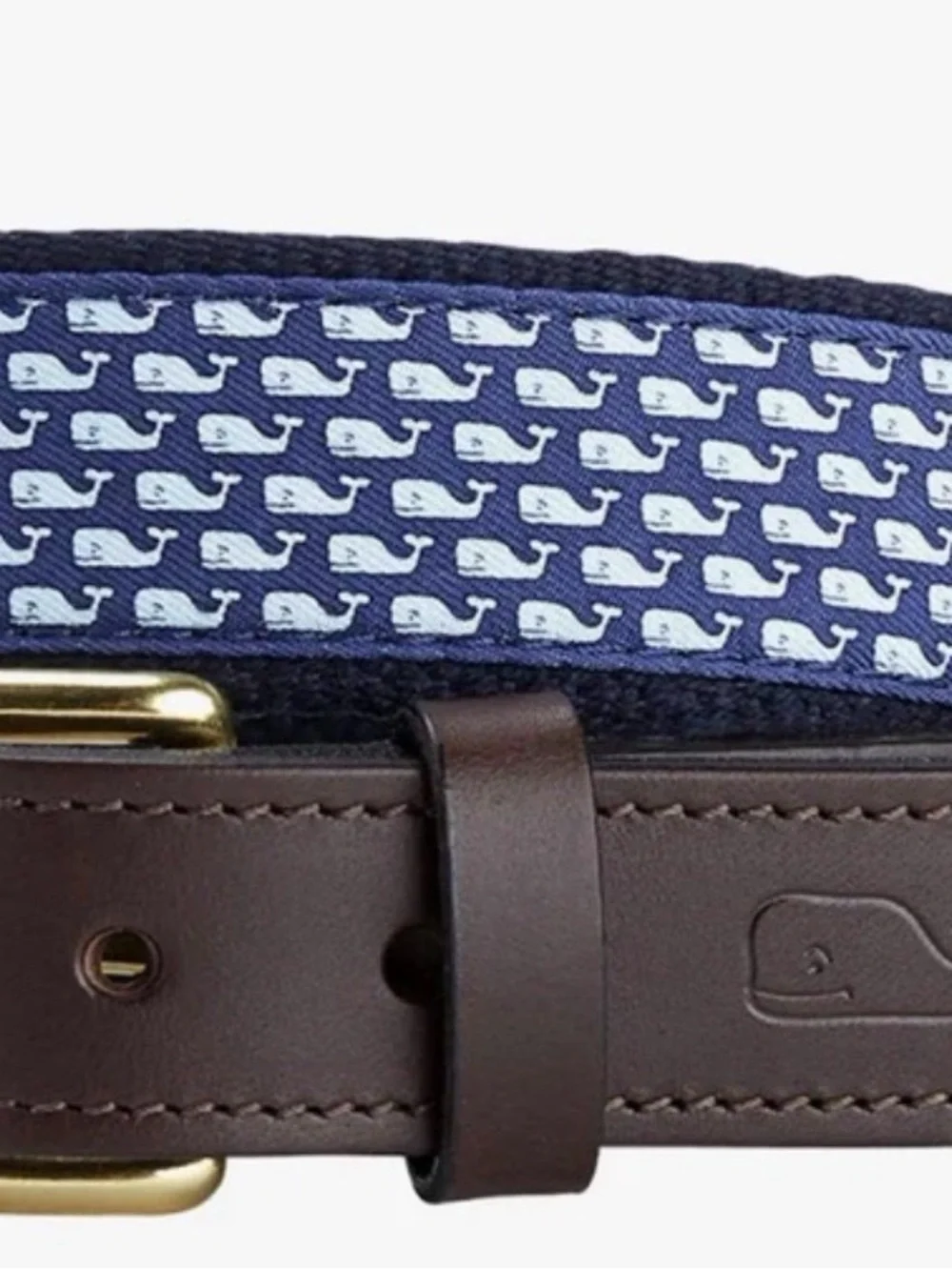 Belt (#347)
